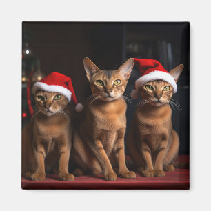 Aimant Abyssinian près de la cheminée Noël