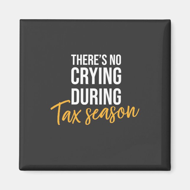 Aimant Accountant In Tax Season (Devant)