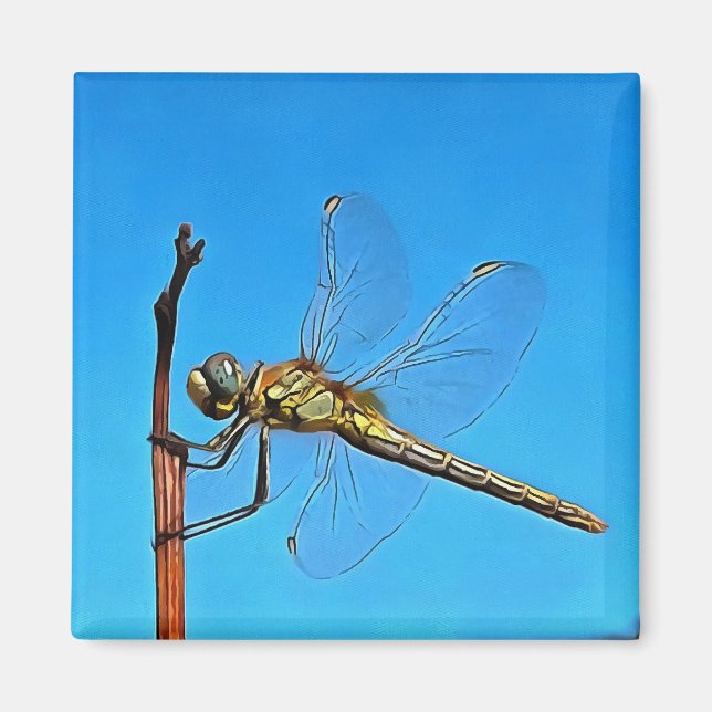 Aimant Accrochez-Vous Là Dragonfly Artistique (Devant)