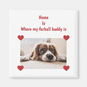 Aimant Accueil Furball Buddy Chien Personnalisé Coeurs Ph