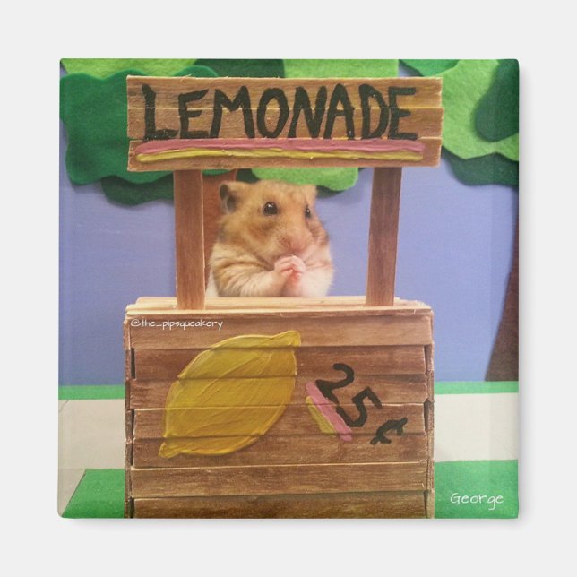 Aimant Achèterez-Vous De La Léonade ? Plutôt, S'Il Vous P (Devant)