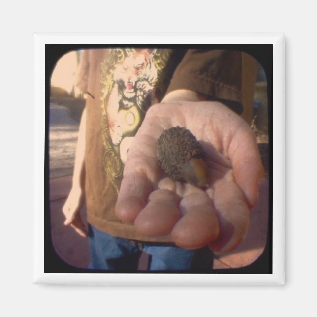 Aimant acorn ? (Devant)