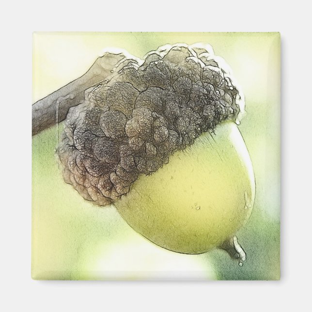 Aimant Acorn (Devant)