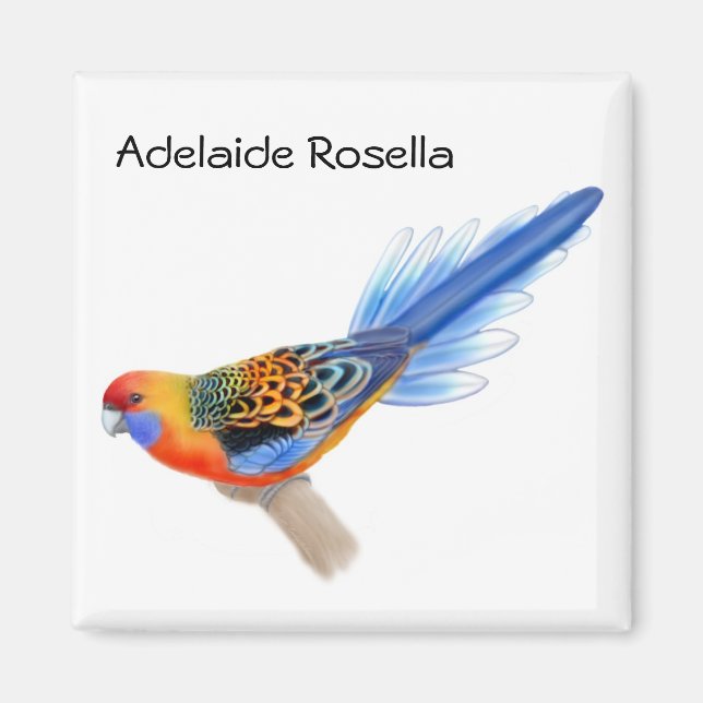 Aimant Adélaïde Rosella Parrot (Devant)