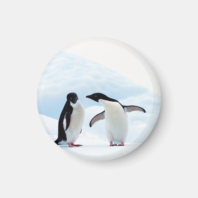 Aimant Adelie Penguins (Devant)