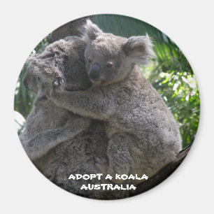 Aimant Adopter un koala Australie ZIZZAGO