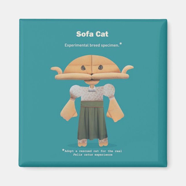 AIMANT ADOPTEZ UN CHAT SAUVÉ ! (Devant)