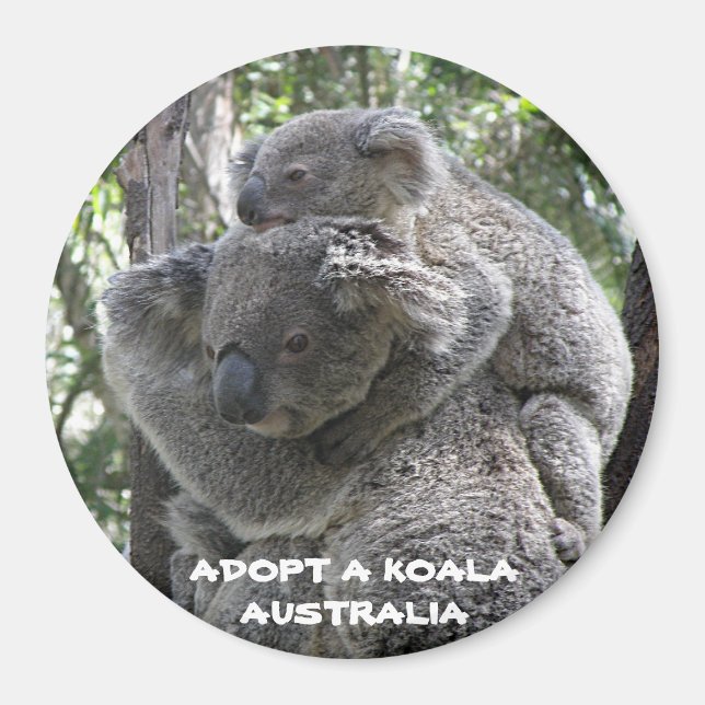Aimant Adoptez un koala Australie ZIZZAGO (Devant)