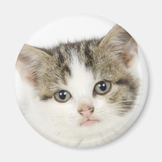 Aimant Adorable, chat mignon / chaton (Devant)