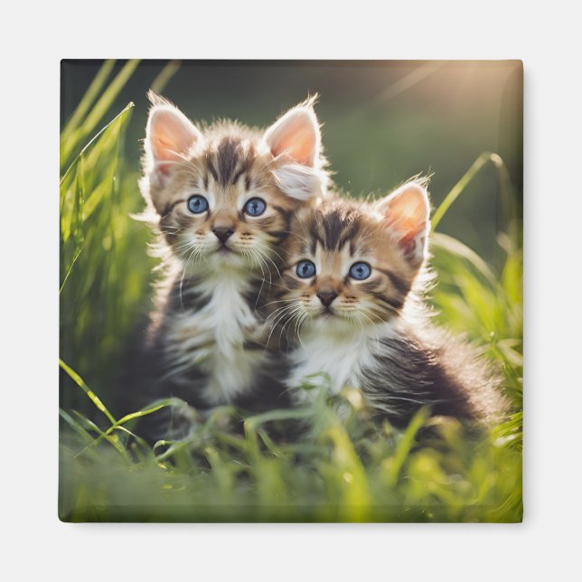 Aimant Adorable chatons (Devant)