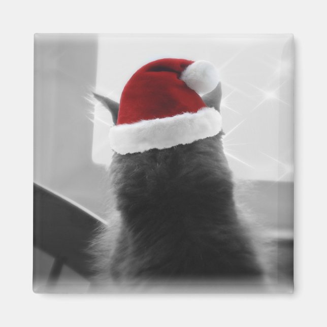 Aimant Adorable Noël Kitten (Devant)