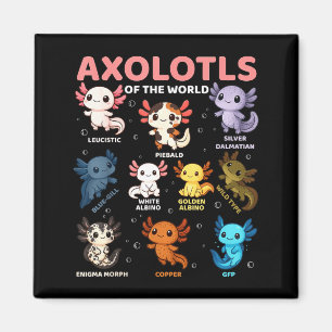 Aimant Adorables Axolotls Kawaii Du Monde Drôle De Ty D'A