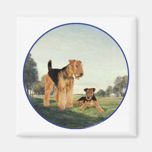 Aimant Adulte et chiot