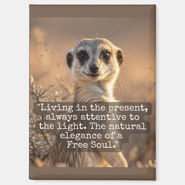 Aimant Adventurous Meerkat Living (Recto)