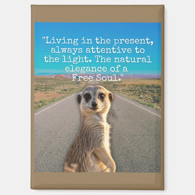 Aimant Adventurous Meerkat Living (Recto)