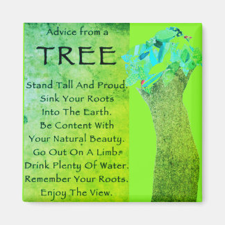 Aimant Advice from