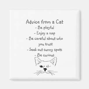 Aimant Advice from Winking Cat Fun Animal Humor