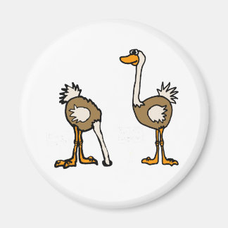 Aimant AE- Ostriches dans le sable