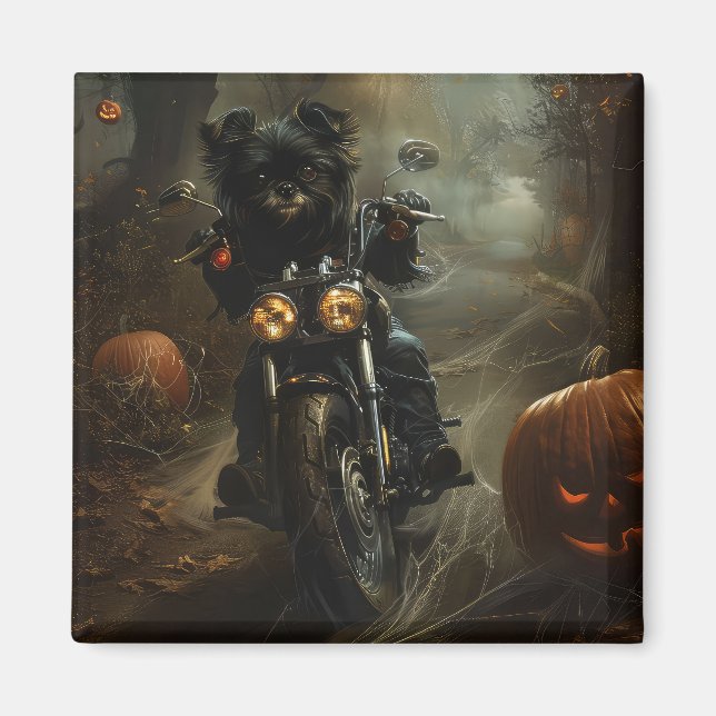 Aimant Affenpinscher à moto Halloween effrayant (Devant)