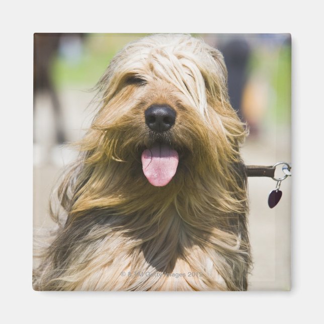 Aimant affichage de langue, cheveux longs, portrait (Devant)