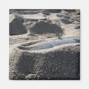 Aimant Affichage statique d'une coque de commande