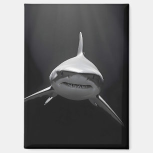 Aimant Affiche de la faune de requin Nature majestueuse V
