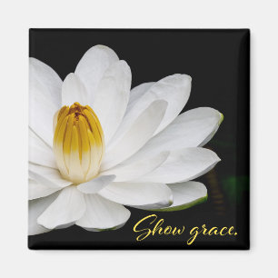 Aimant Afficher l'aimant de grâce