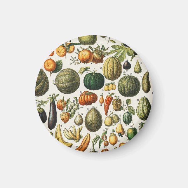 Aimant Affiches de fruits botaniques vintage françaises (Devant)