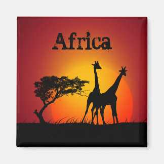 Aimant africain