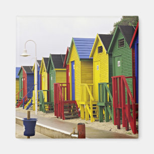 Aimant Afrique du Sud, Cap-Occidental, St James. Coloré