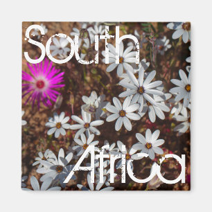 Aimant Afrique du Sud Velddrif West Coast Fleurs sauvages