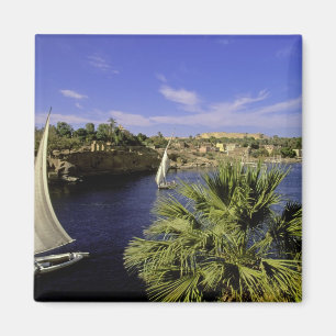 Aimant Afrique, Égypte, Haute-Égypte, Assouan. Feluques 2