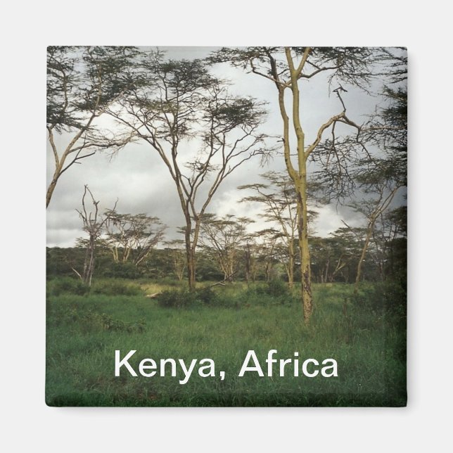 Aimant Afrique Kenya terre sauvage (Devant)