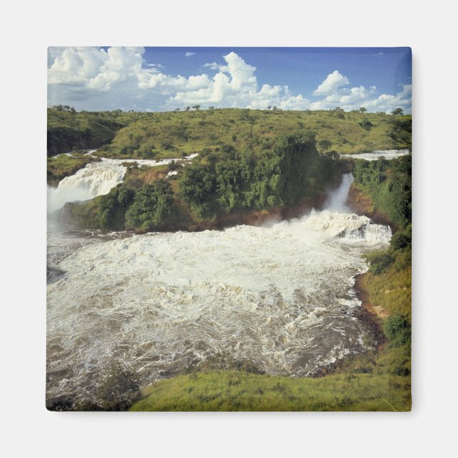 Aimant Afrique, Ouganda, Parc national des chutes de Murc (Devant)