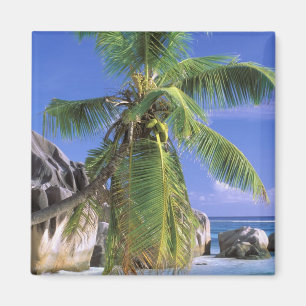 Aimant Afrique, Seychelles, île de La Digue. Granite 2