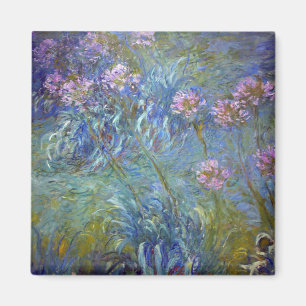 Aimant Agapanthus, Monet