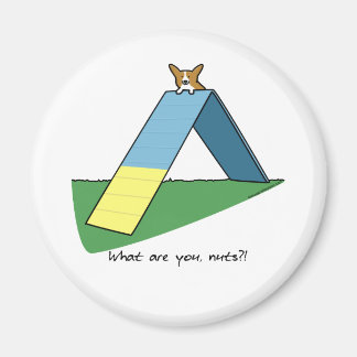 Aimant Agilité amusante du corgi à cadre A