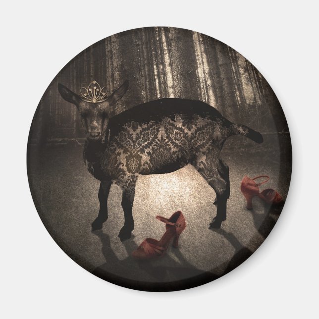 Aimant Agissant La Princesse (Devant)