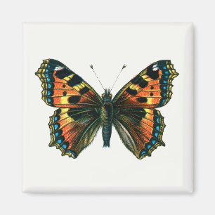 Aimant Aglais urticae - Le Petit Papillon Tortoiseshell