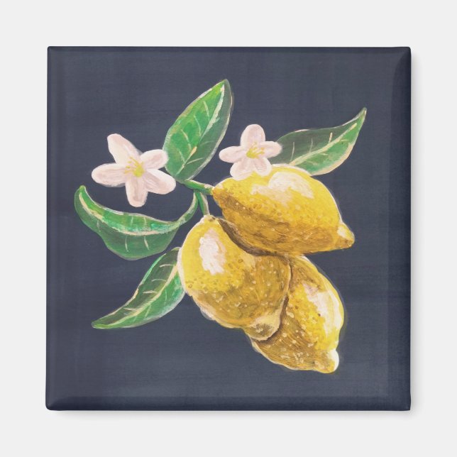Aimant agrume (Devant)