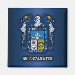 Aimant Aguascalientes