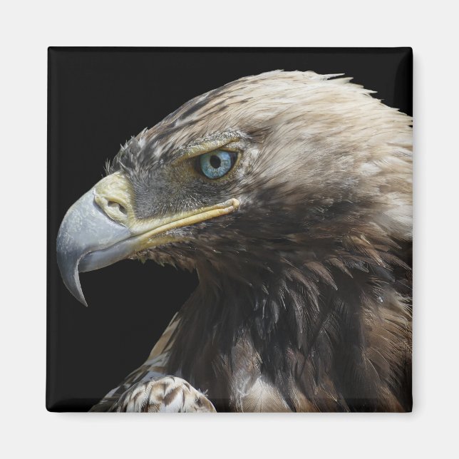 Aimant Aigle (Devant)
