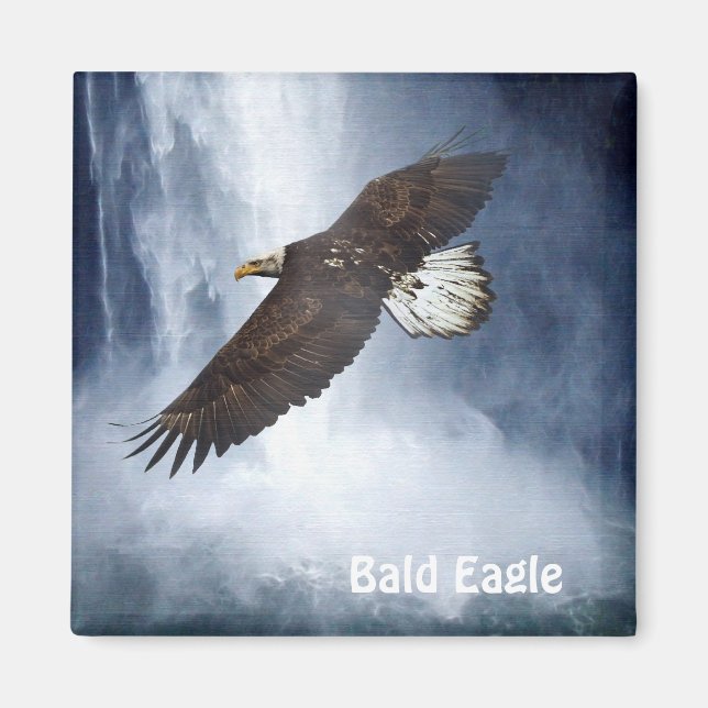 Aimant Aigle à tête blanche et cascade Faune et Nature Ma (Devant)