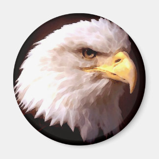 Aimant Aigle d'Amérique