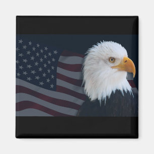 Aimant Aigle d'Usa