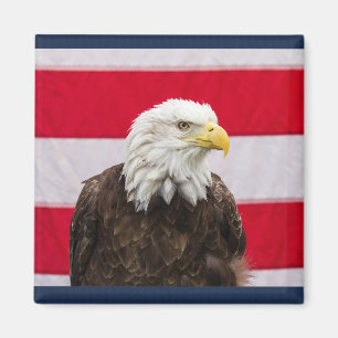 Aimant Aigle patriotique