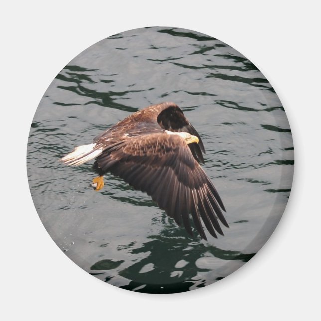 Aimant Aigle volant avec des ailes (Devant)