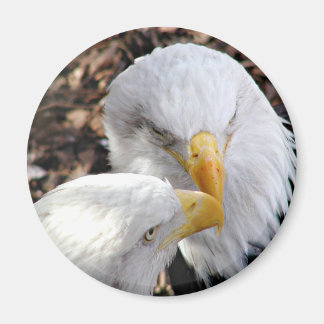 Aimant aigles
