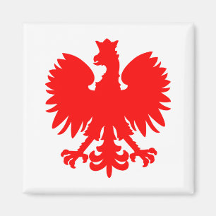 Aimant Aiguille magnétique de l'aigle polonais