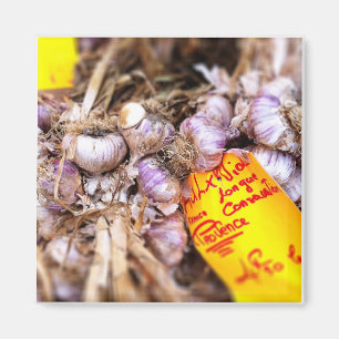 Aimant Ail pourpre frais de la Provence